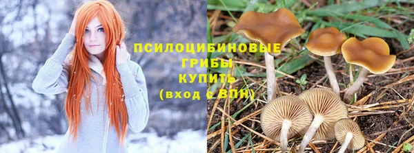 прущий лед Алексин