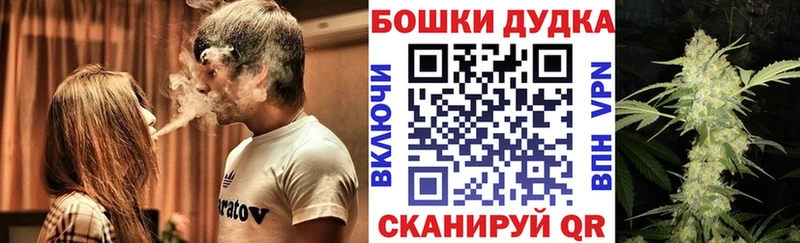 купить закладку  Заозёрный  Бошки Шишки гибрид 